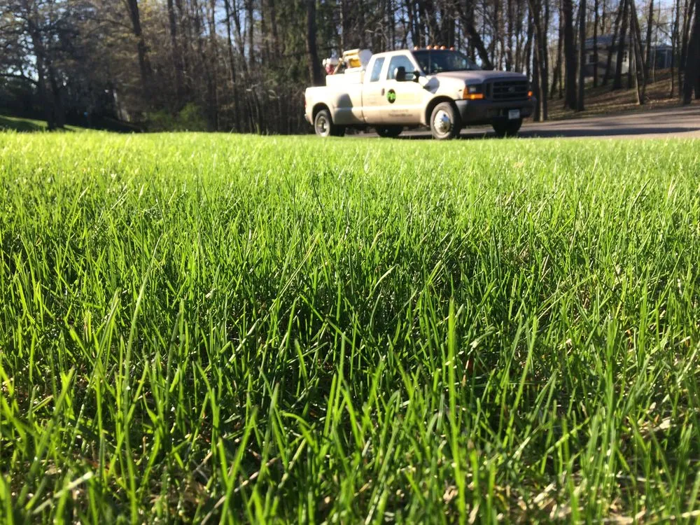 Affordable garden landscaping for outdoor upgrades across Loretto, MN - ProLawns