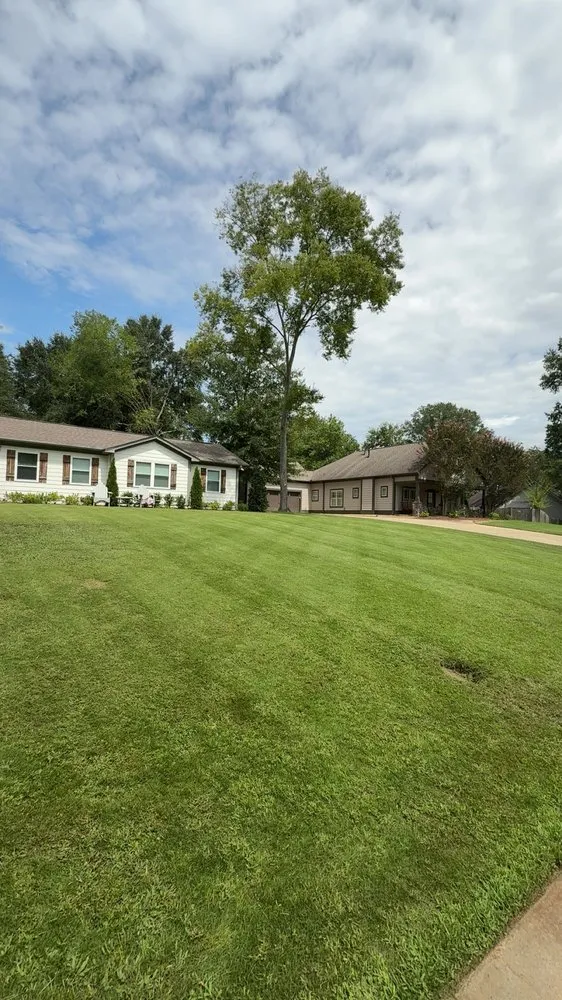 Trusted yard maintenance for beautiful yards in Mountain Brook, AL by Prolawns