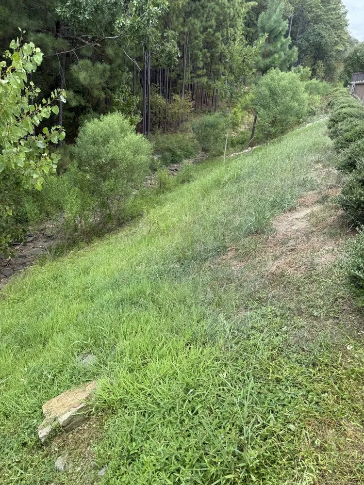 Affordable garden landscaping experts serving Mountain Brook, AL - Prolawns