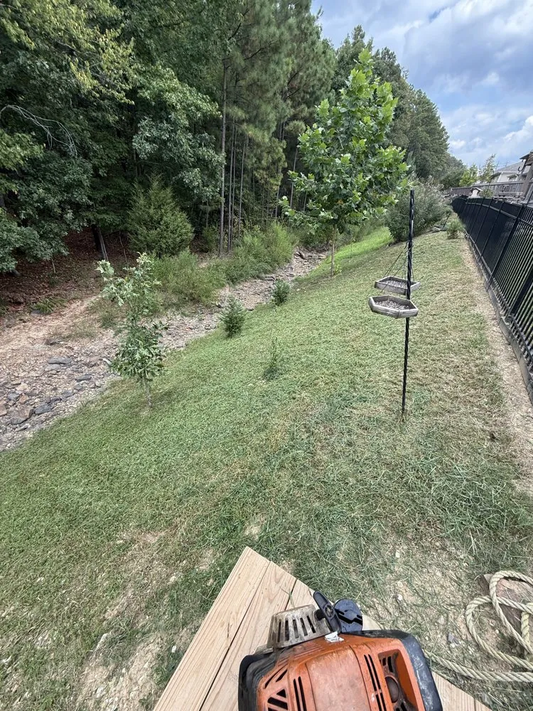 Trusted lawn mowing service in Mountain Brook, AL by Prolawns