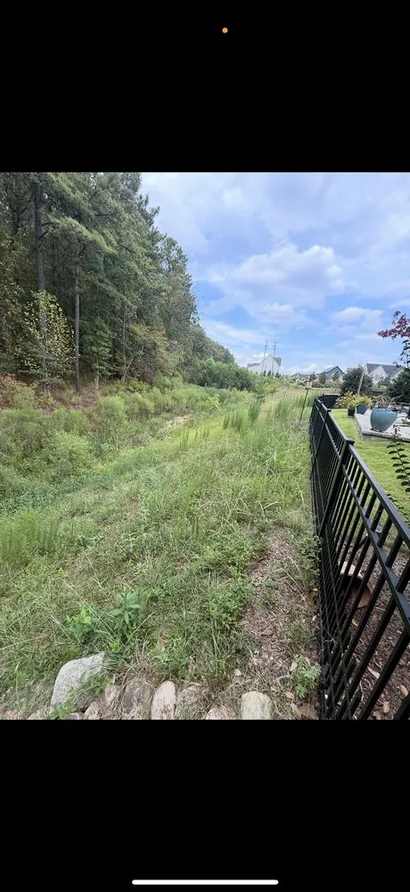 Custom landscaping services in Mountain Brook, AL by Prolawns