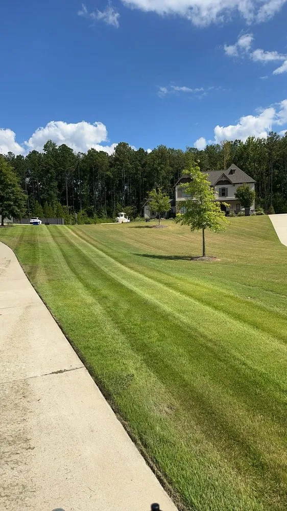 Expert yard maintenance for year-round maintenance across Mountain Brook, AL - Prolawns