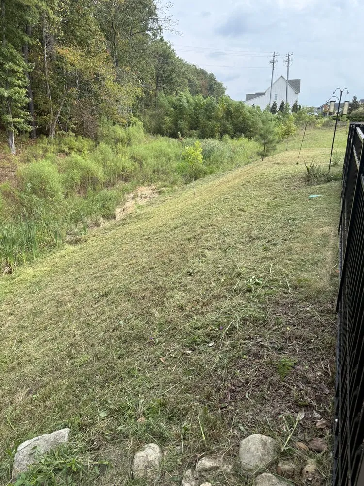 Professional landscape installation in Mountain Brook, AL - Prolawns