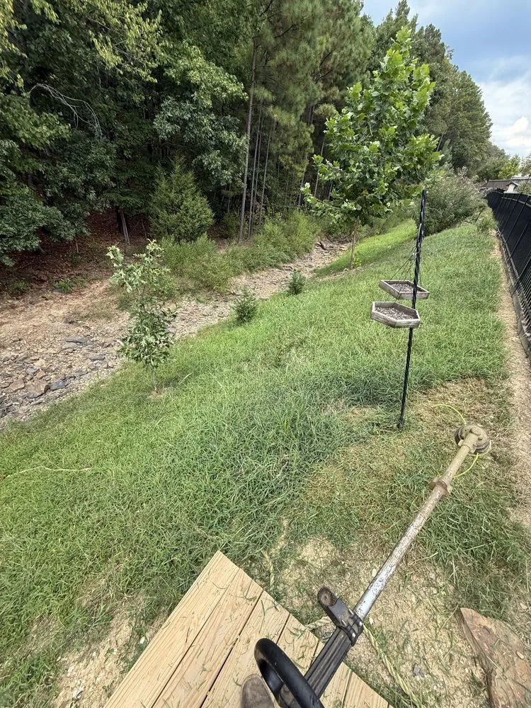 Trusted lawn mowing service experts serving Mountain Brook, AL - Prolawns