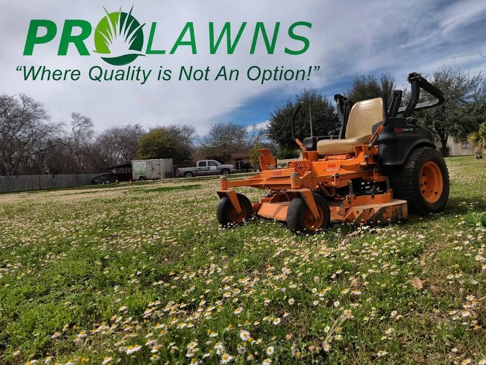 Local landscape installation in Eagle Pass, TX by ProLawns Professional Services