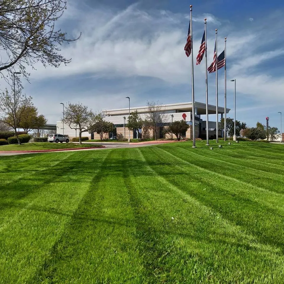 Custom landscape design with custom design in Eagle Pass, TX by ProLawns Professional Services