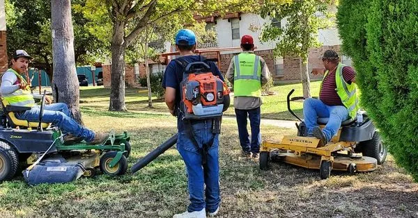 ProLawns Professional Services