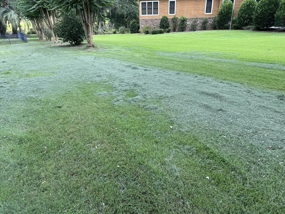 Top-rated landscape design in Tallahassee, FL by Prolawns