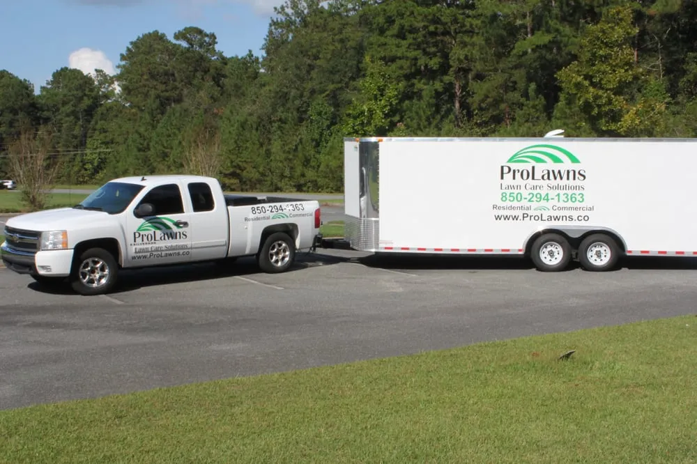 Affordable yard cleanup service in Tallahassee, FL - Prolawns