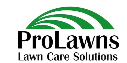 Affordable garden landscaping in Tallahassee, FL by Prolawns