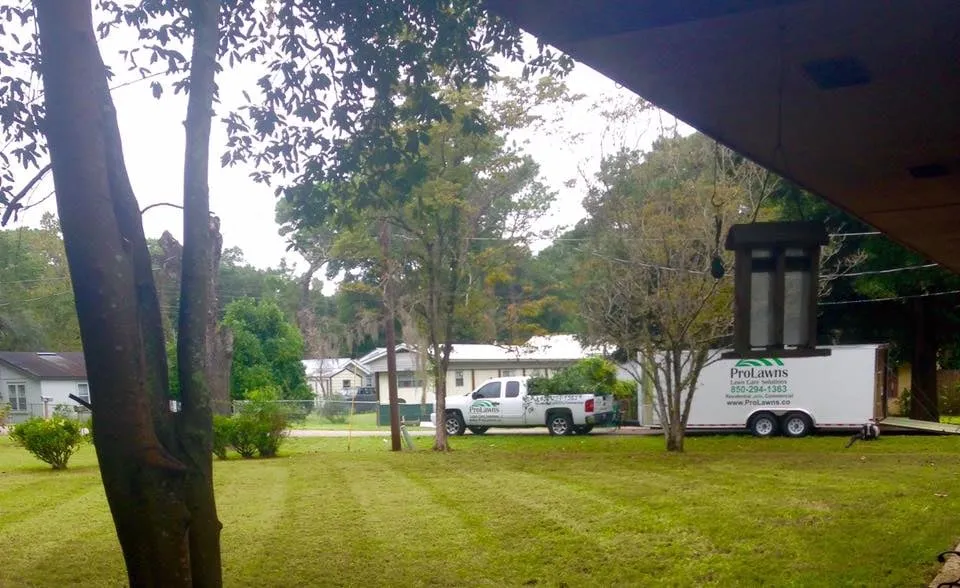 Affordable yard maintenance in Tallahassee, FL by Prolawns