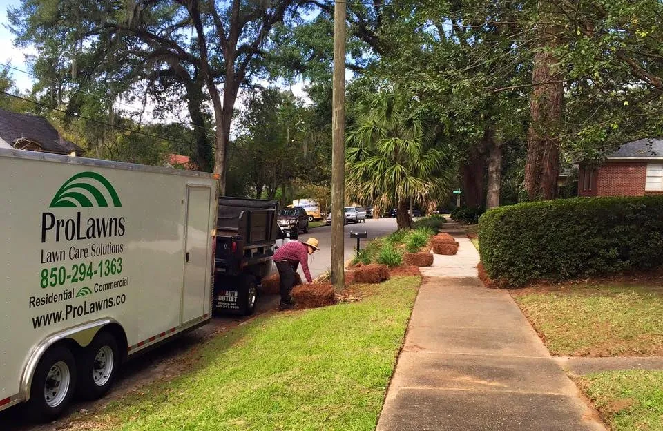 Trusted landscape installation in Tallahassee, FL by Prolawns