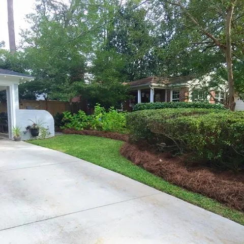 Local lawn mowing service near you in Tallahassee, FL by Prolawns