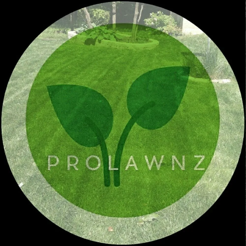 Reliable outdoor landscaping with custom design in Falls Church, VA by Prolawnz Lawncare & Landscaping