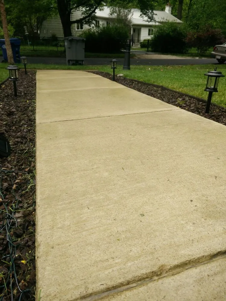 Expert yard cleanup service for beautiful yards across Falls Church, VA - Prolawnz Lawncare & Landscaping