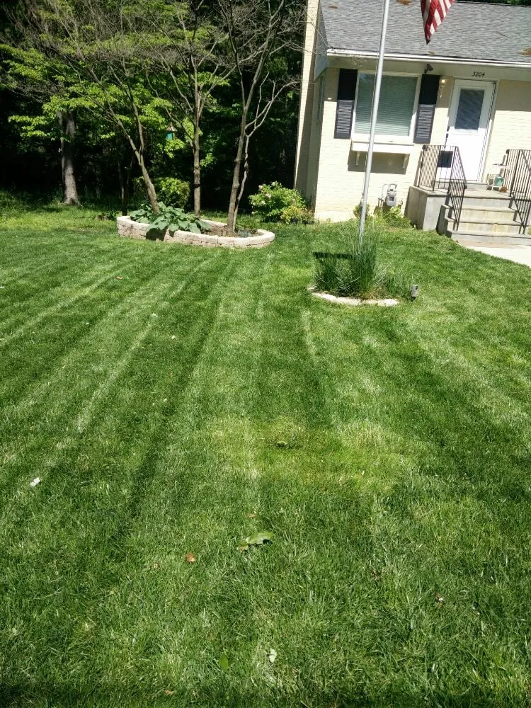 Professional landscape design in Falls Church, VA by Prolawnz Lawncare & Landscaping