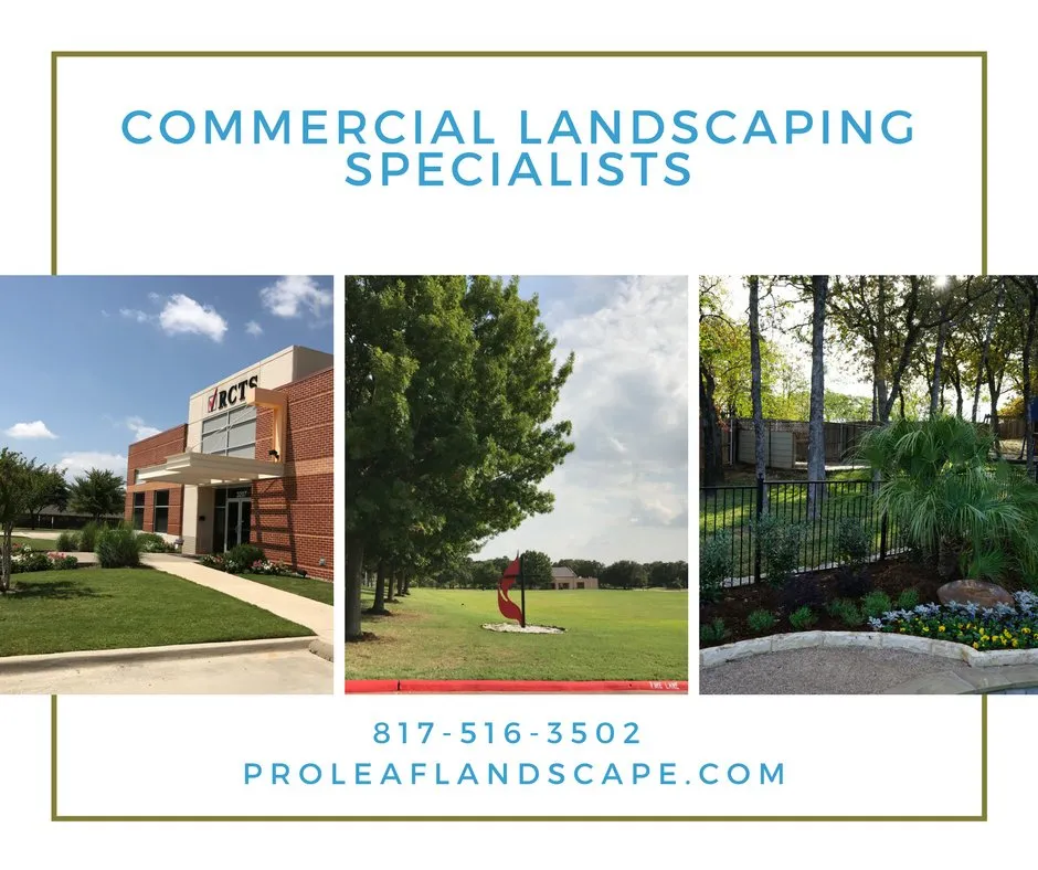 Reliable garden landscaping in Kennedale, TX by Proleaf Commercial Landscape