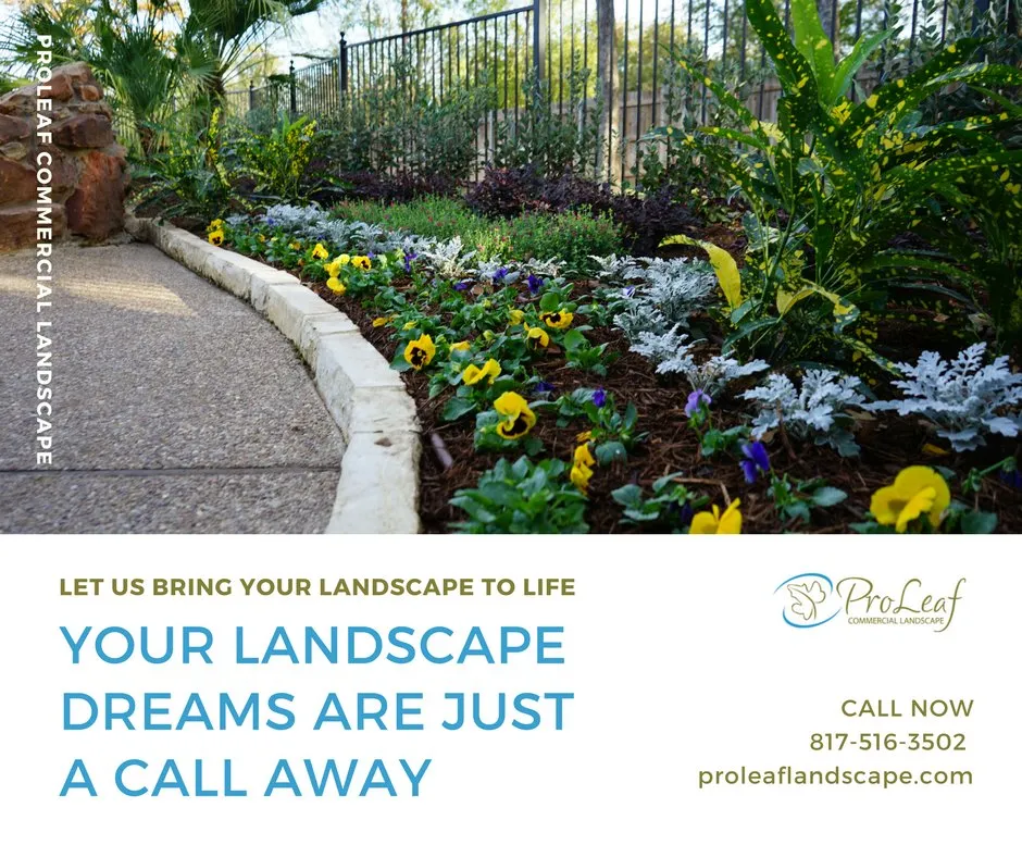 Expert outdoor landscaping experts serving Kennedale, TX - Proleaf Commercial Landscape