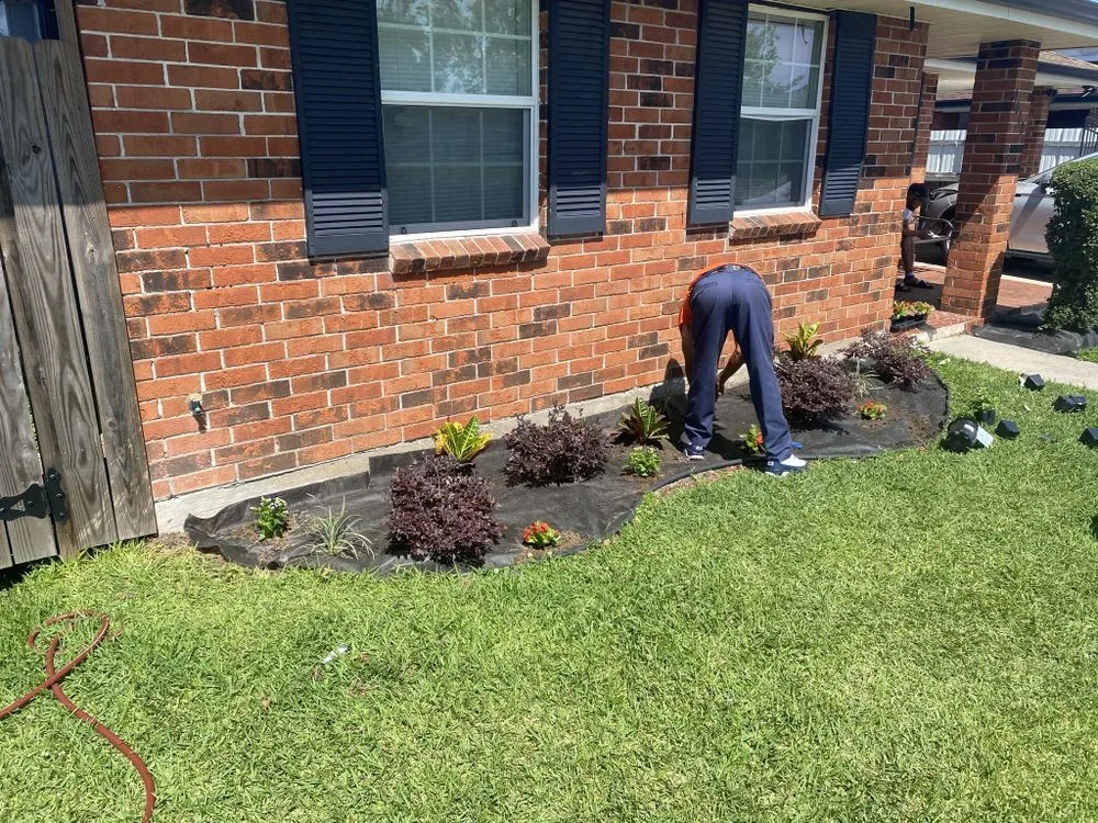 Custom lawn care service in New Orleans, LA by ProLeaf Landscaping