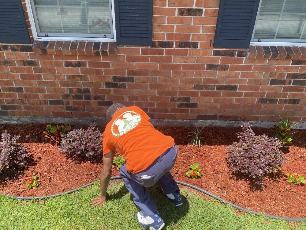 Reliable yard cleanup service in New Orleans, LA by ProLeaf Landscaping