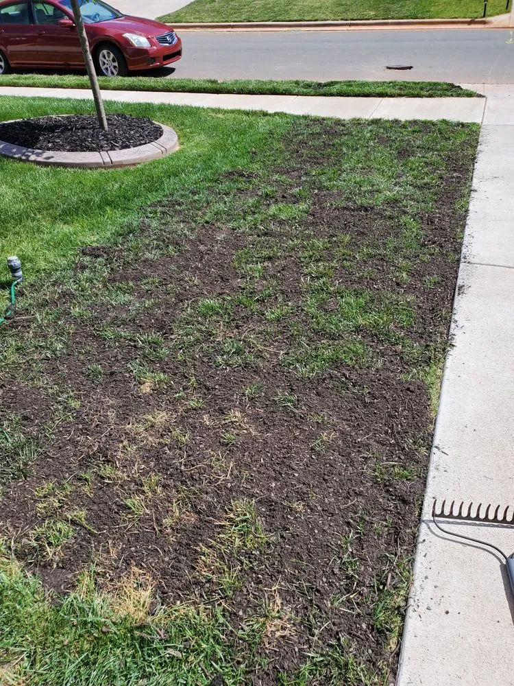 Trusted residential landscaping for residential properties in Greensboro, NC by Prolific 10 Pressure Washing and Services