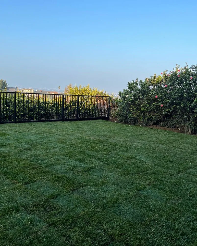 Professional landscape installation for beautiful yards in Windsor Hills, CA by Prolific Landscape & Hardscape