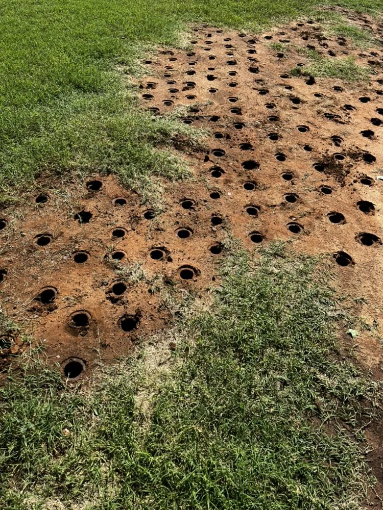 Affordable lawn mowing service for year-round maintenance across Elk City, OK - Prolific Landscape