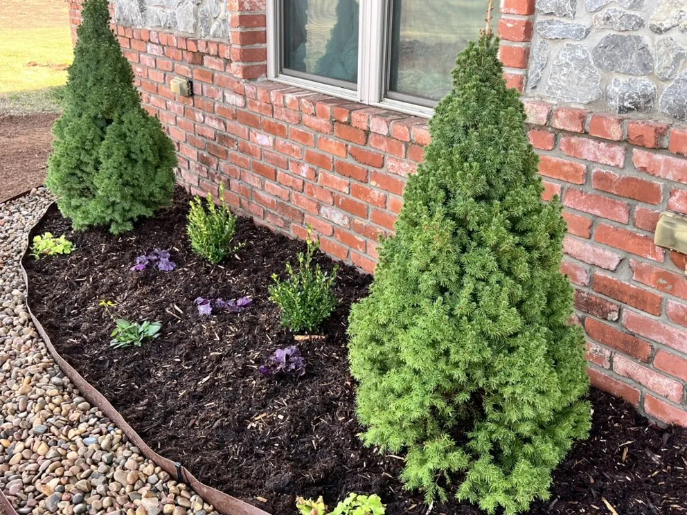 Expert landscaping services in Elk City, OK by Prolific Landscape