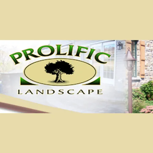 Professional yard cleanup service experts serving Wind Gap, PA - Prolific Landscape