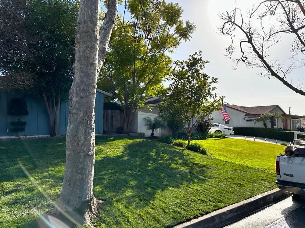 Trusted landscape design experts serving Los Angeles, CA - Prolific Landscaping