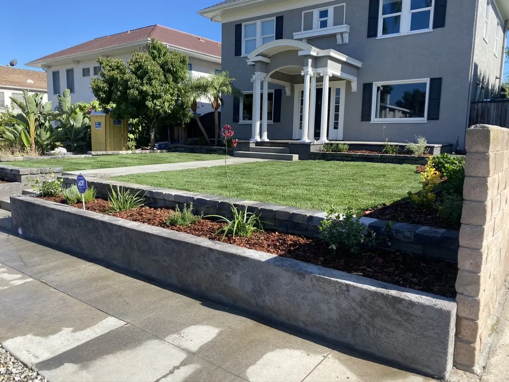 Custom yard maintenance in Los Angeles, CA by Prolific Landscaping