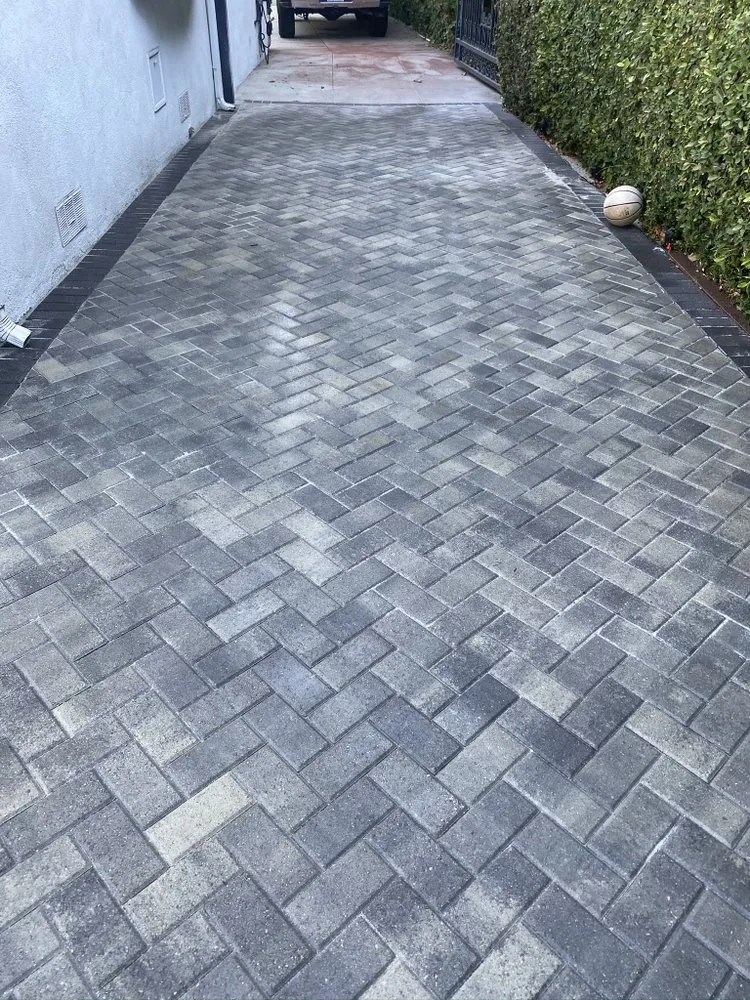 Local outdoor landscaping in Los Angeles, CA by Prolific Landscaping