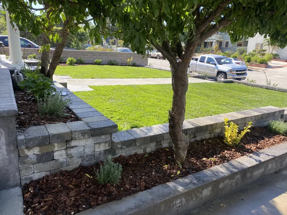 Local residential landscaping near you in Los Angeles, CA by Prolific Landscaping