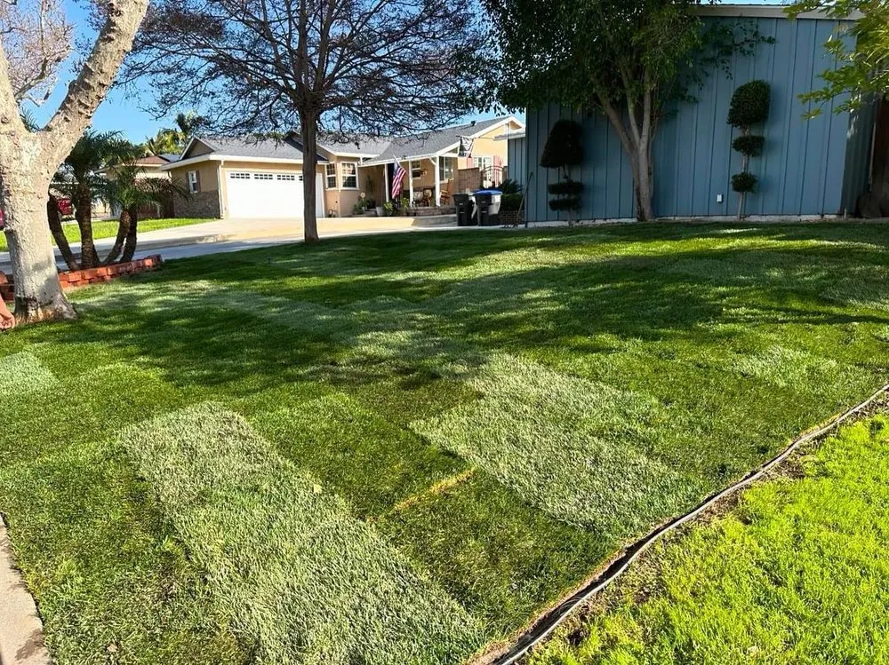 Top-rated yard maintenance for year-round maintenance across Los Angeles, CA - Prolific Landscaping