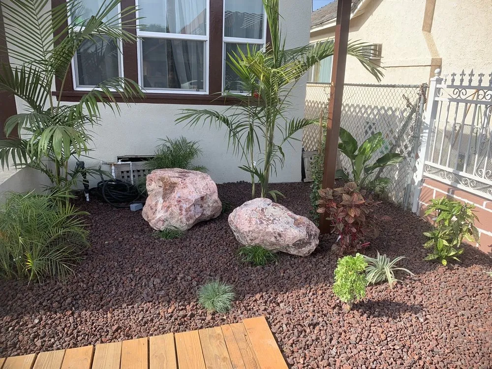 Custom yard cleanup service in Los Angeles, CA by Prolific Landscaping