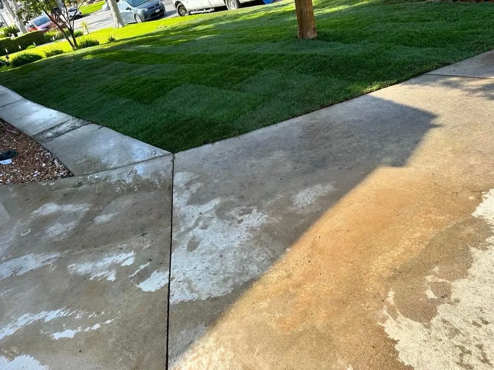 Top-rated lawn care service for beautiful yards in Los Angeles, CA by Prolific Landscaping