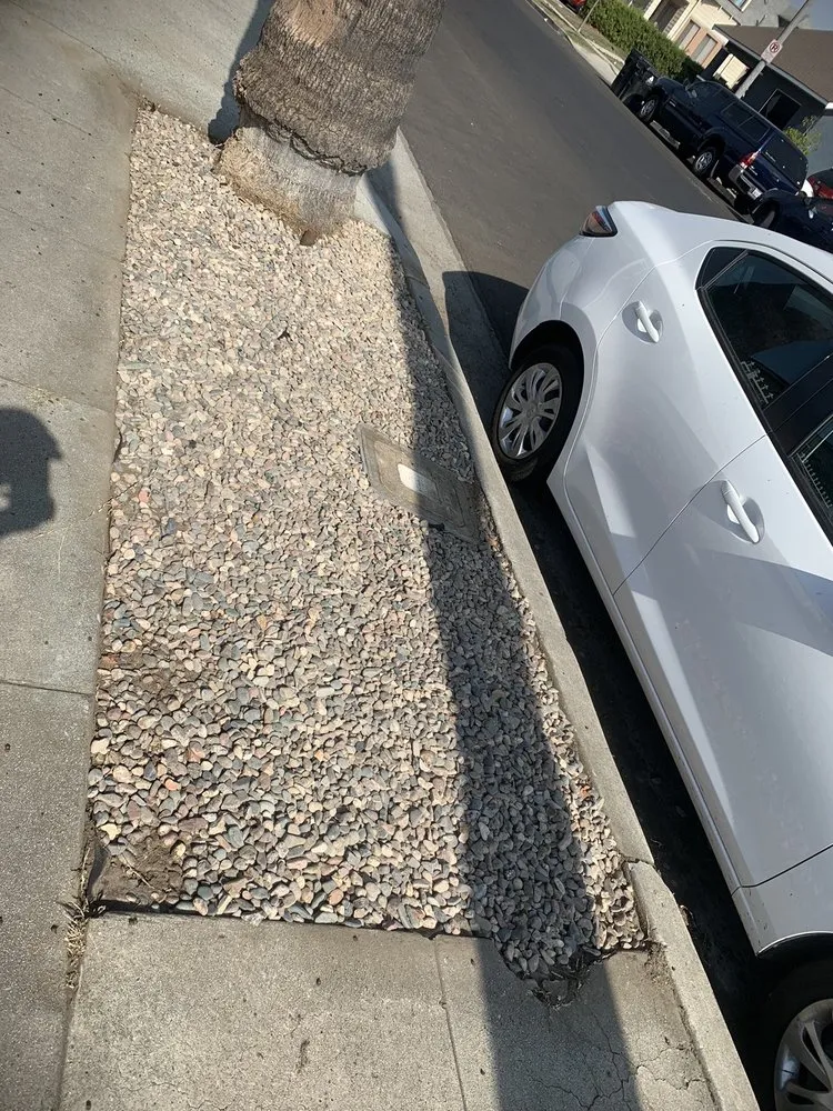 Trusted residential landscaping for homes in Los Angeles, CA by Prolific Landscaping