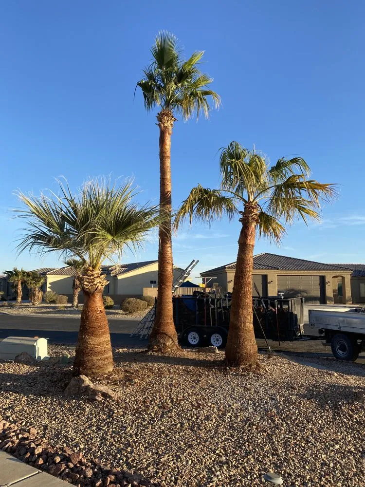 Reliable landscape installation for outdoor upgrades across Fort Mohave, AZ - Prolific Landscaping Services
