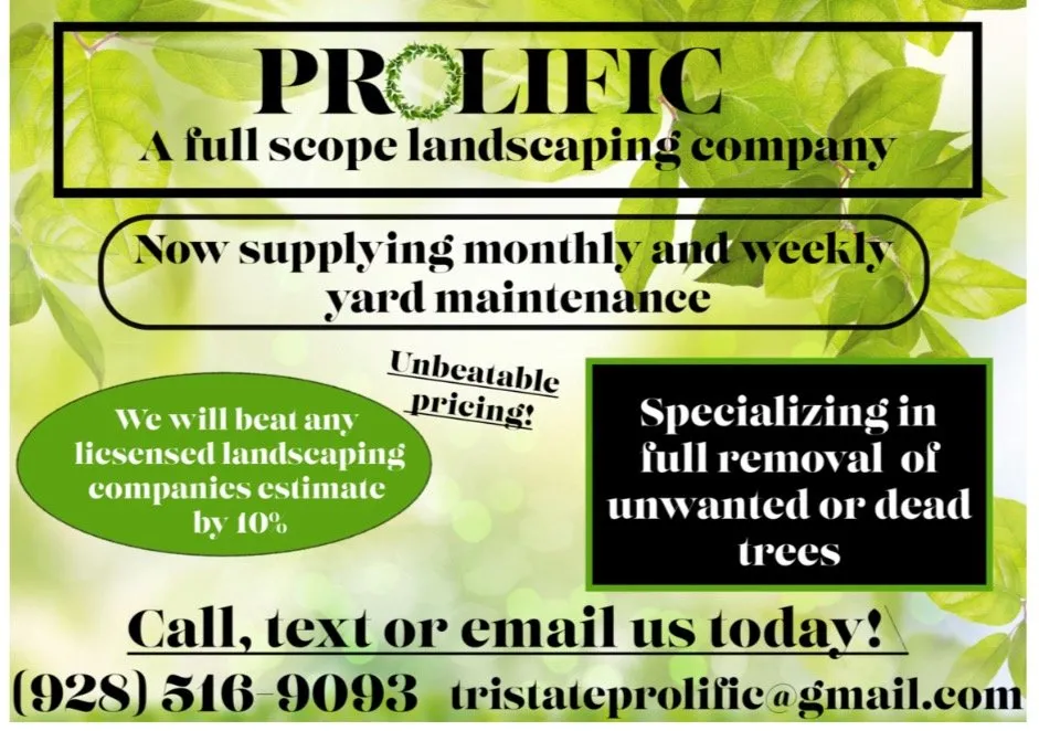 Expert landscape design in Fort Mohave, AZ by Prolific Landscaping Services