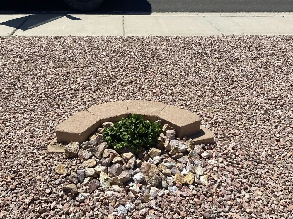 Top-rated yard cleanup service in Fort Mohave, AZ by Prolific Landscaping Services