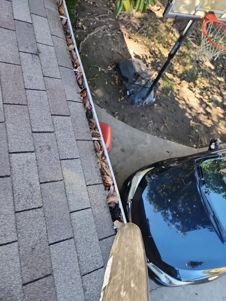 Top-rated landscaping services in Longview, TX - Prolific Lawncare Services