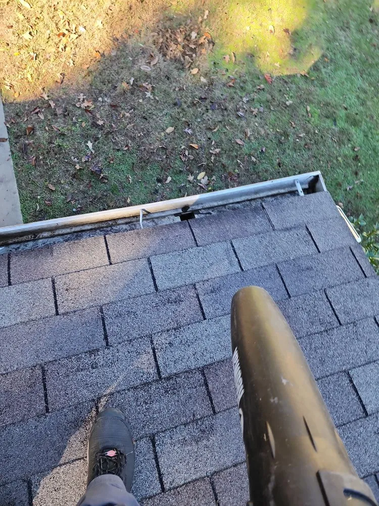 Custom lawn care service experts serving Longview, TX - Prolific Lawncare Services