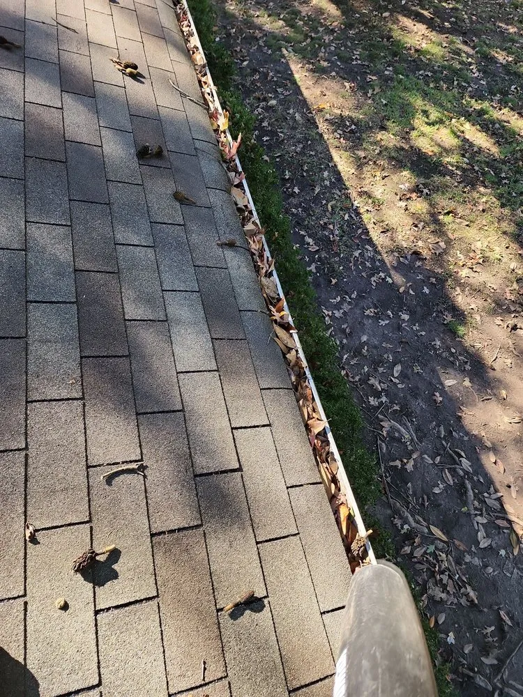 Reliable residential landscaping in Longview, TX - Prolific Lawncare Services