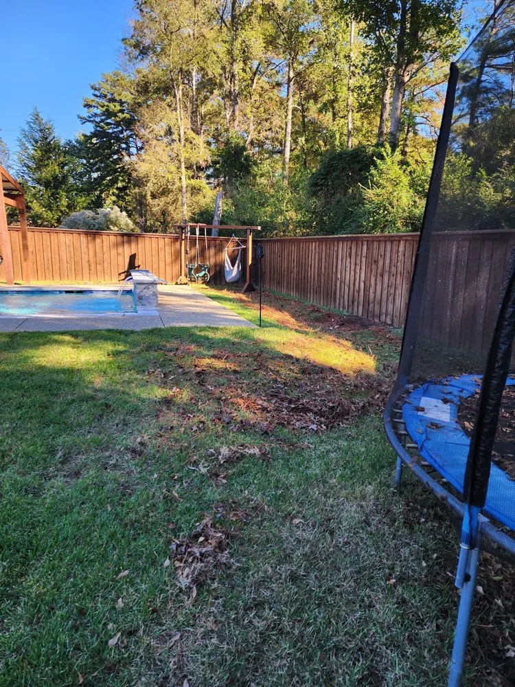 Expert yard cleanup service in Longview, TX - Prolific Lawncare Services