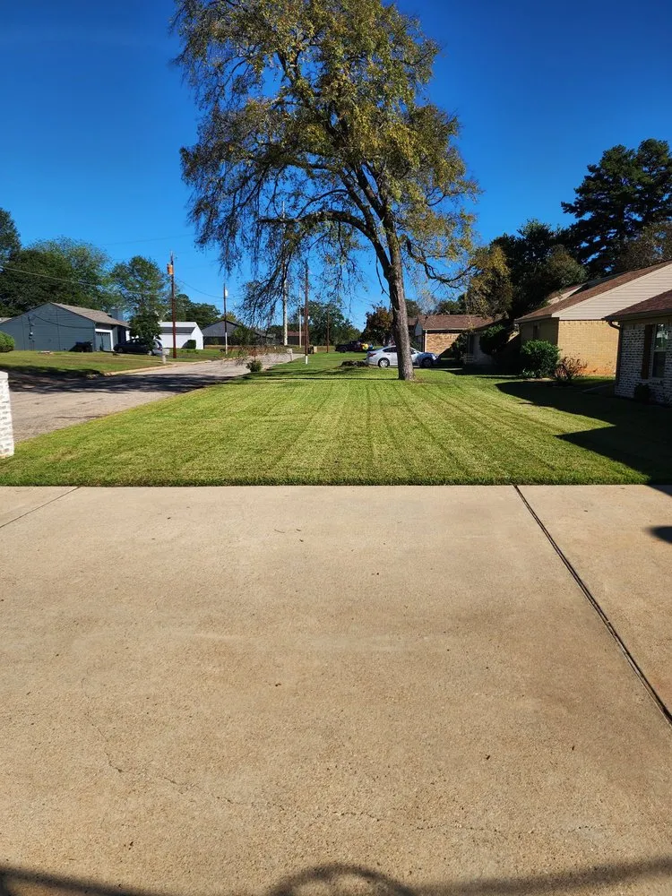 Top-rated landscape design in Longview, TX - Prolific Lawncare Services