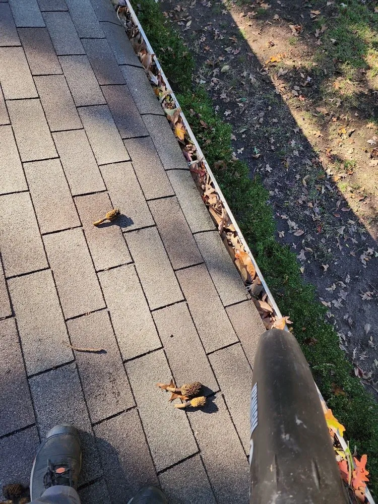 Reliable lawn care service for outdoor upgrades in Longview, TX by Prolific Lawncare Services