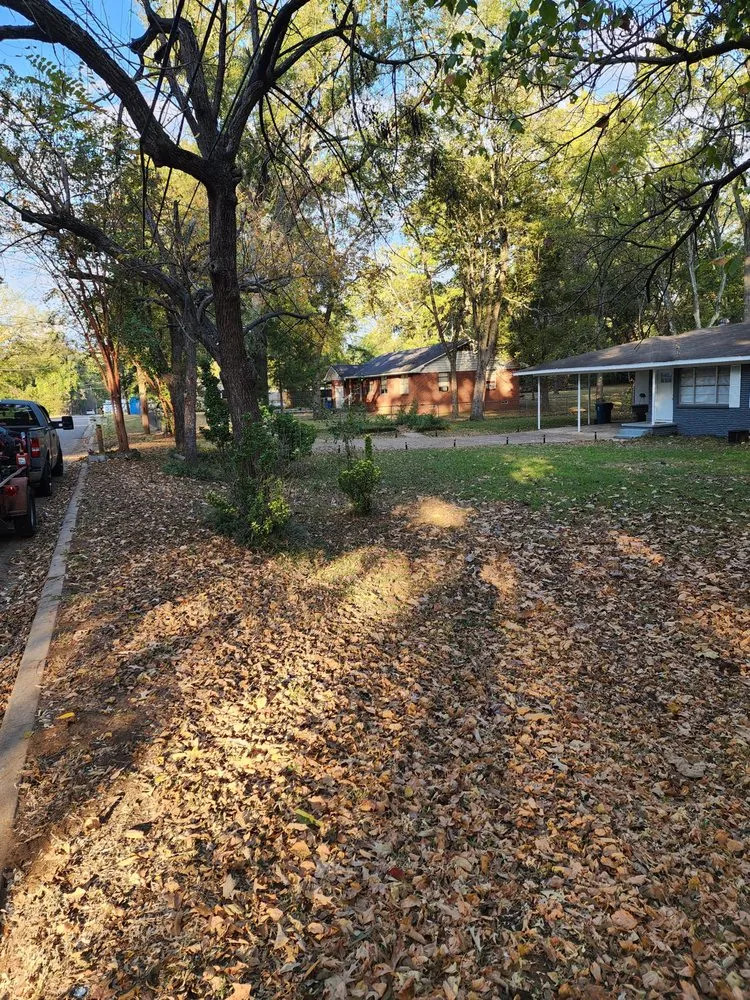 Affordable garden landscaping for year-round maintenance in Longview, TX by Prolific Lawncare Services