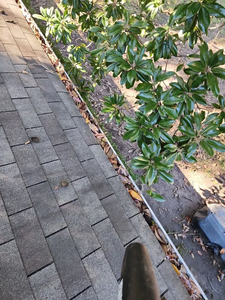 Local lawn care service near you in Longview, TX by Prolific Lawncare Services