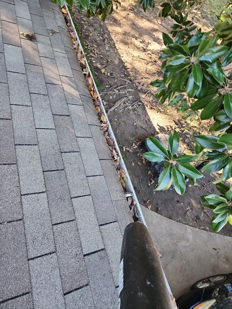 Affordable garden landscaping for homes across Longview, TX - Prolific Lawncare Services