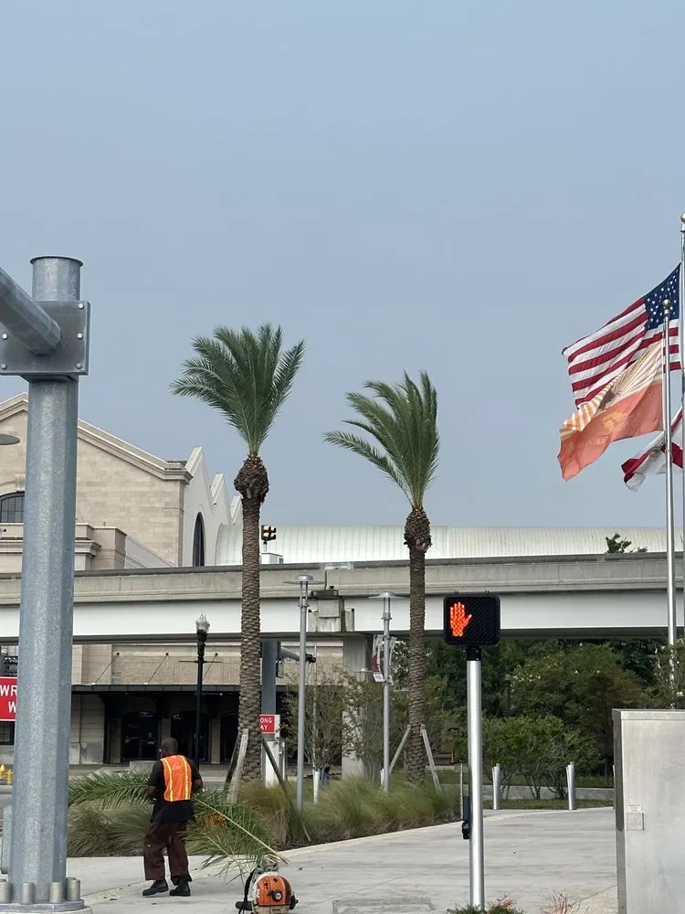 Expert outdoor landscaping experts serving Jacksonville, FL - Prolific Outdoor Services